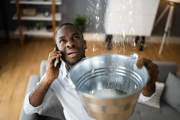 Best Local water damage restoration  in Winterville, GA