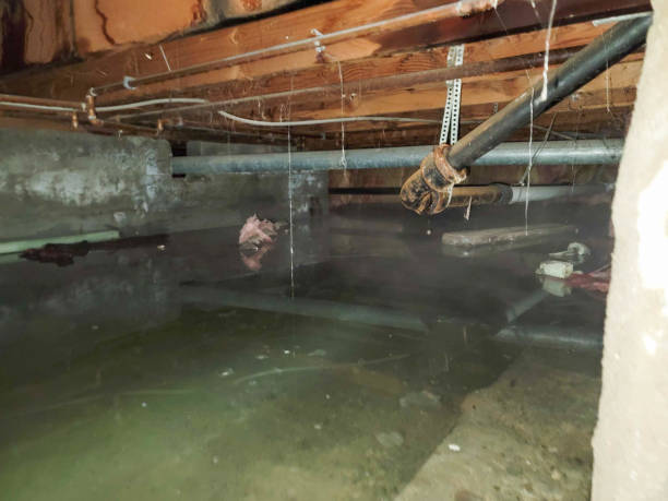 Water damage restoration process in Winterville, GA