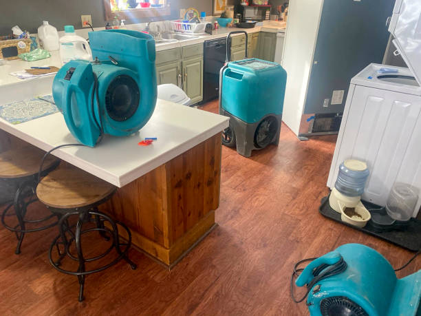 Best Water damage contractors near me  in Winterville, GA