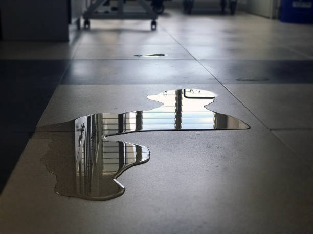 Best 24/7 water damage repair  in Winterville, GA