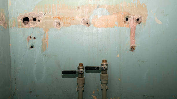 Best Flood restoration services  in Winterville, GA