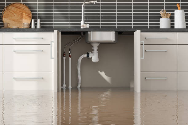 Best Water damage restoration near me  in Winterville, GA