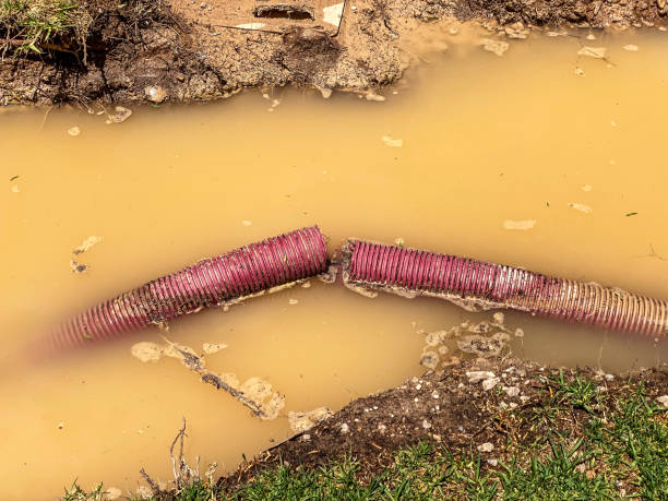 Best Carpet water damage restoration  in Winterville, GA